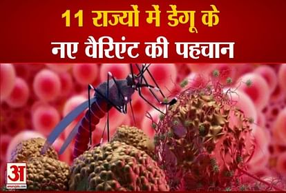 new variant dengue d2 is more dangerous spread in 11 states including uttar pradesh is