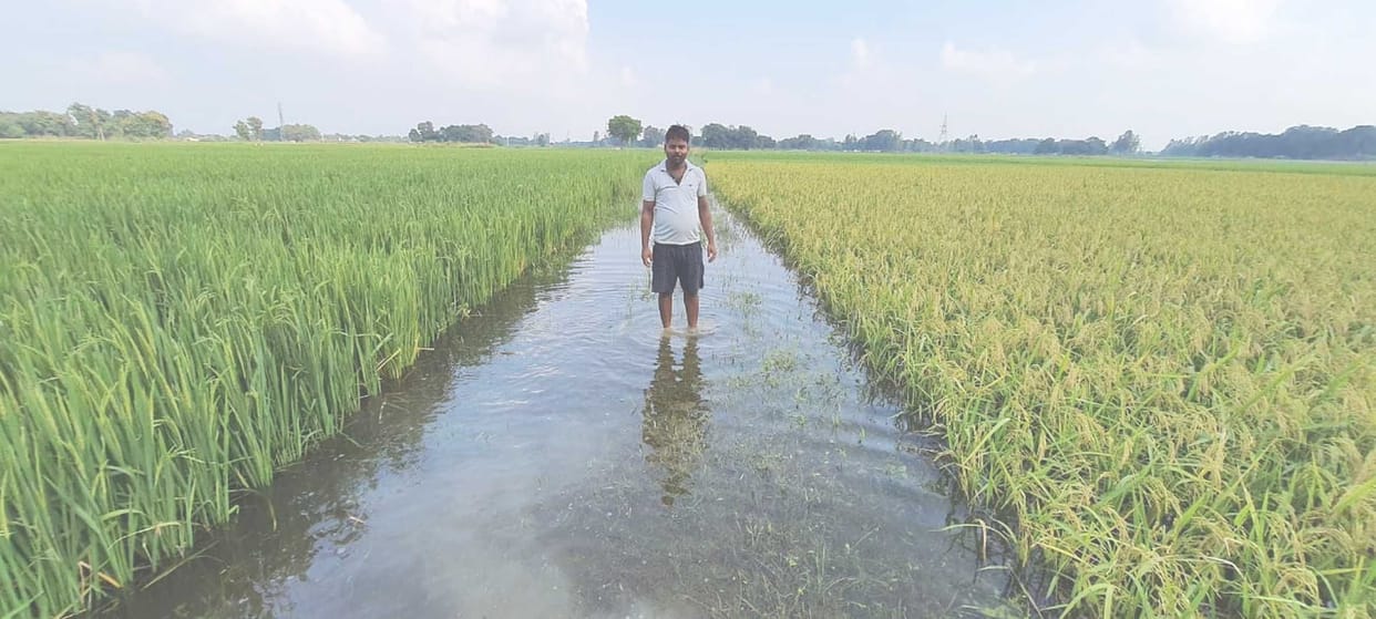 water logging