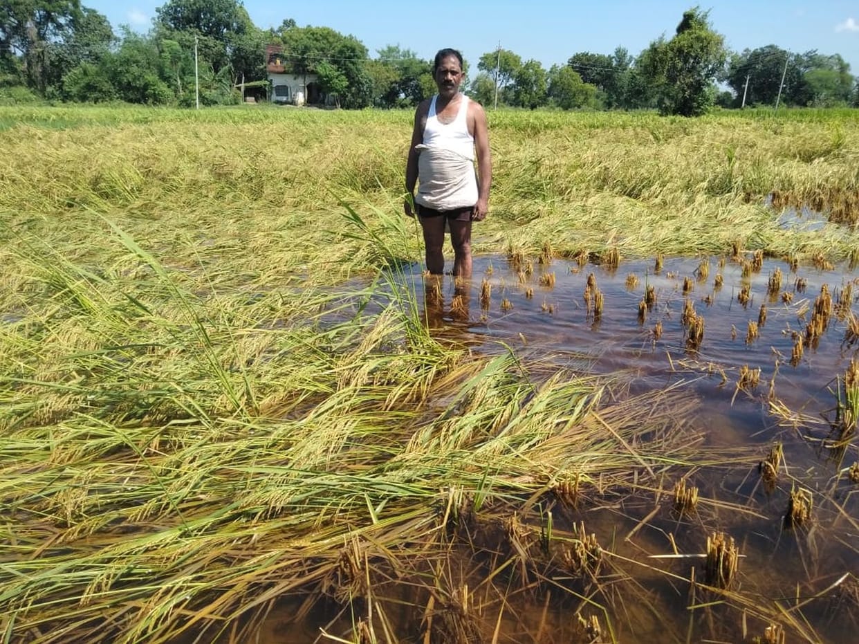 Now rain wreaks havoc in Maharua area