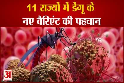 new variant dengue d2 is more dangerous spread in 11 states including uttar pradesh is