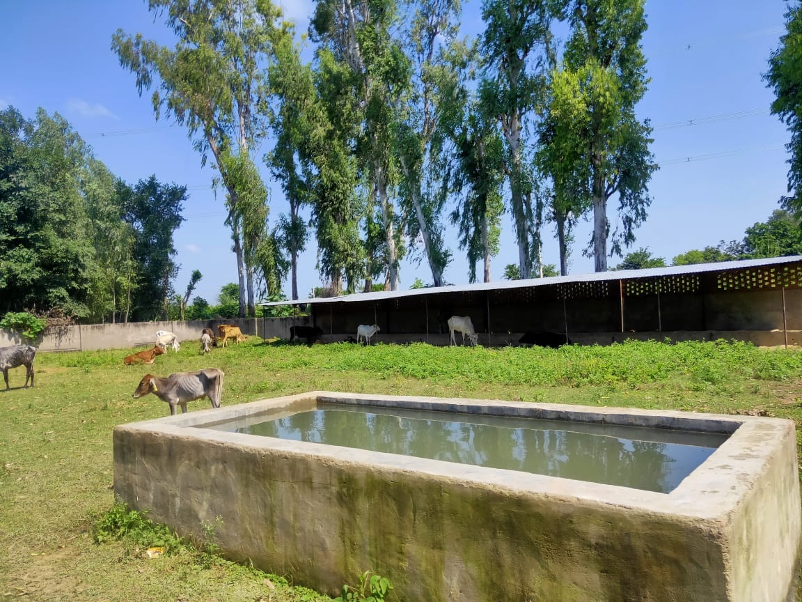 etawah news,ew Gaushala built in Dharmapura