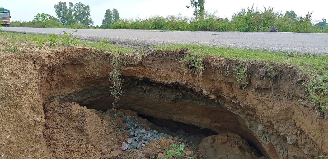 Be careful... the pits of 'death' are hidden in the bushes