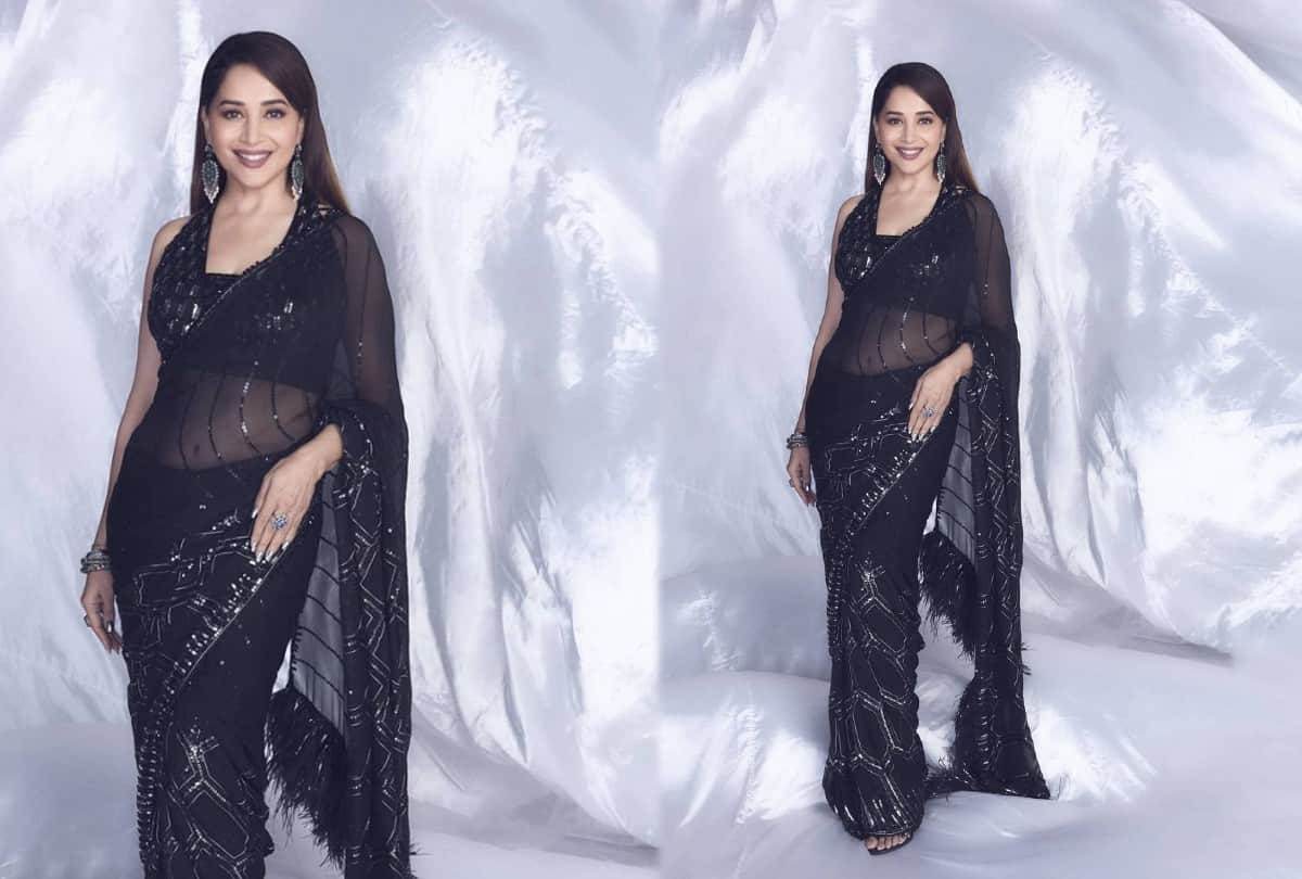 Madhuri Dixit Saree Collection Madhuri Dixit Traditional Look Photos