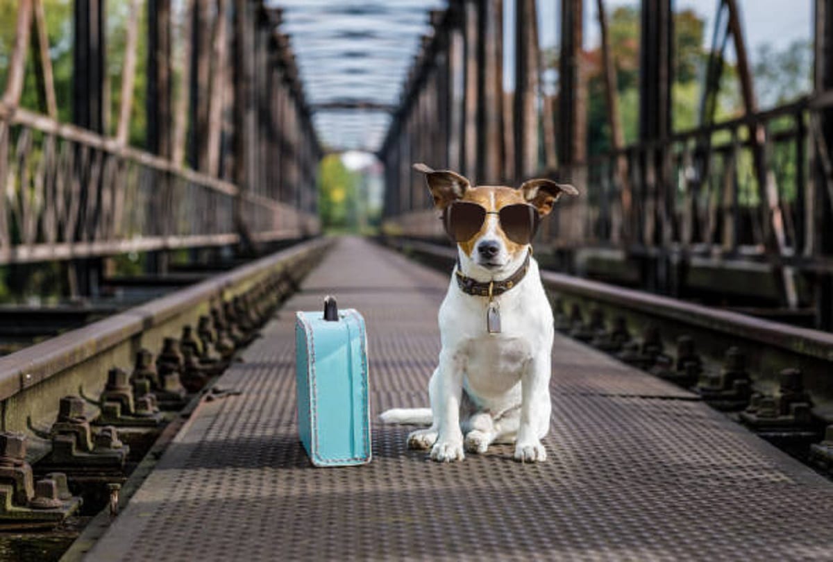Indian Railways Train Ticket Booking for Pet animals rules in hindi