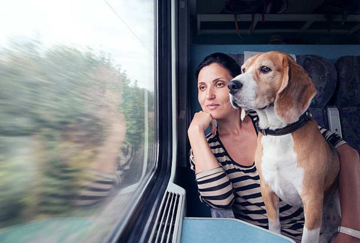 Indian Railways Train Ticket Booking for Pet animals rules in hindi