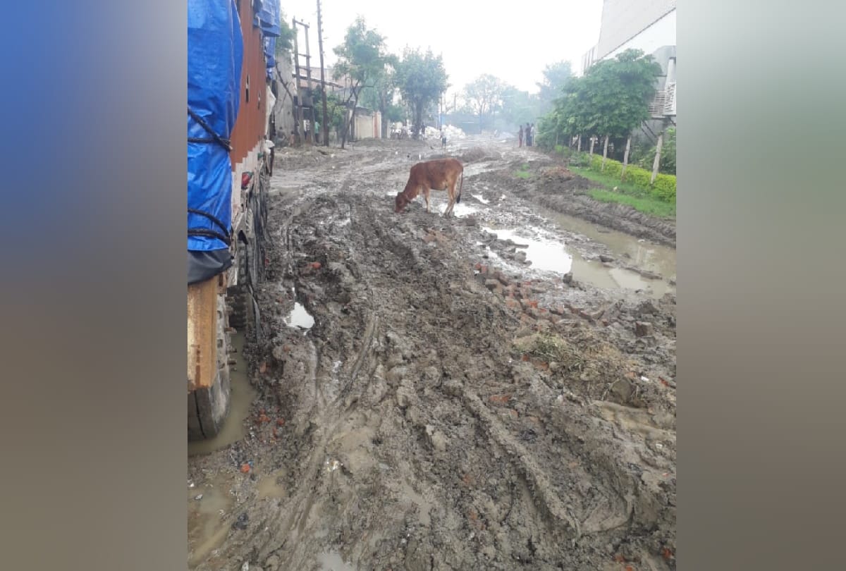 potholes in roads of Gida Sector-13 of Gorakhpur district