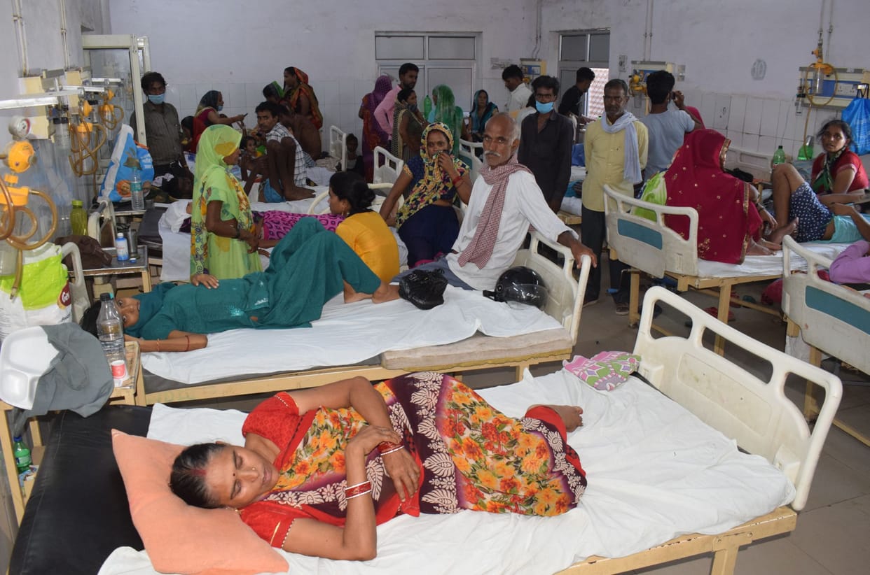 fivemore   patients of dengue, two of malariya found