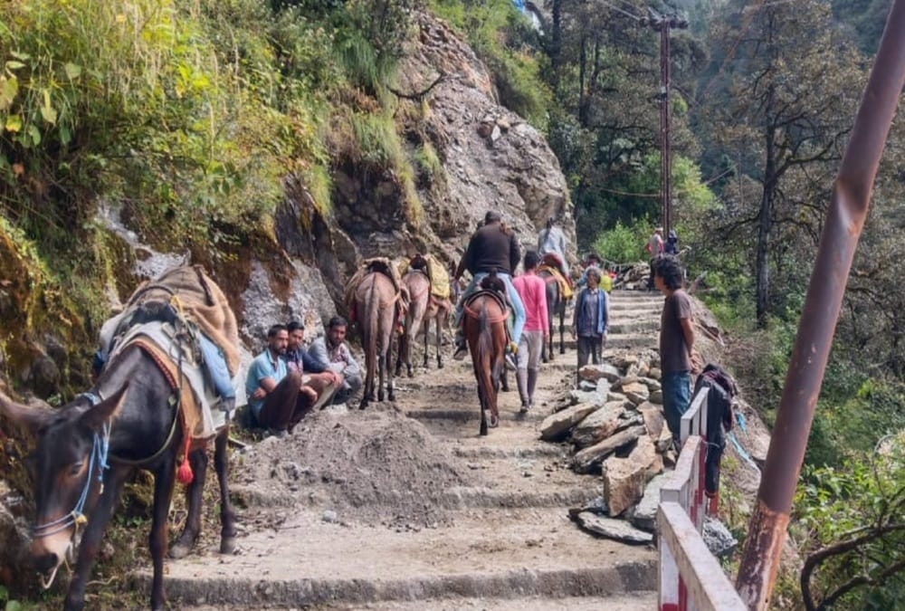 Chardham Yatra 2021: Landslide on Badrinath Highway and Many Pilgrims Stuck on Road photos