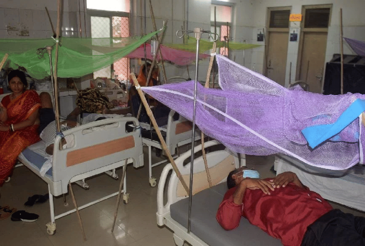 dengue patients in punjab cross 10 thousand