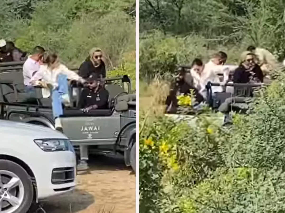Alia Bhatt and Ranbir Kapoor's jungle safari video from jodhpur trip