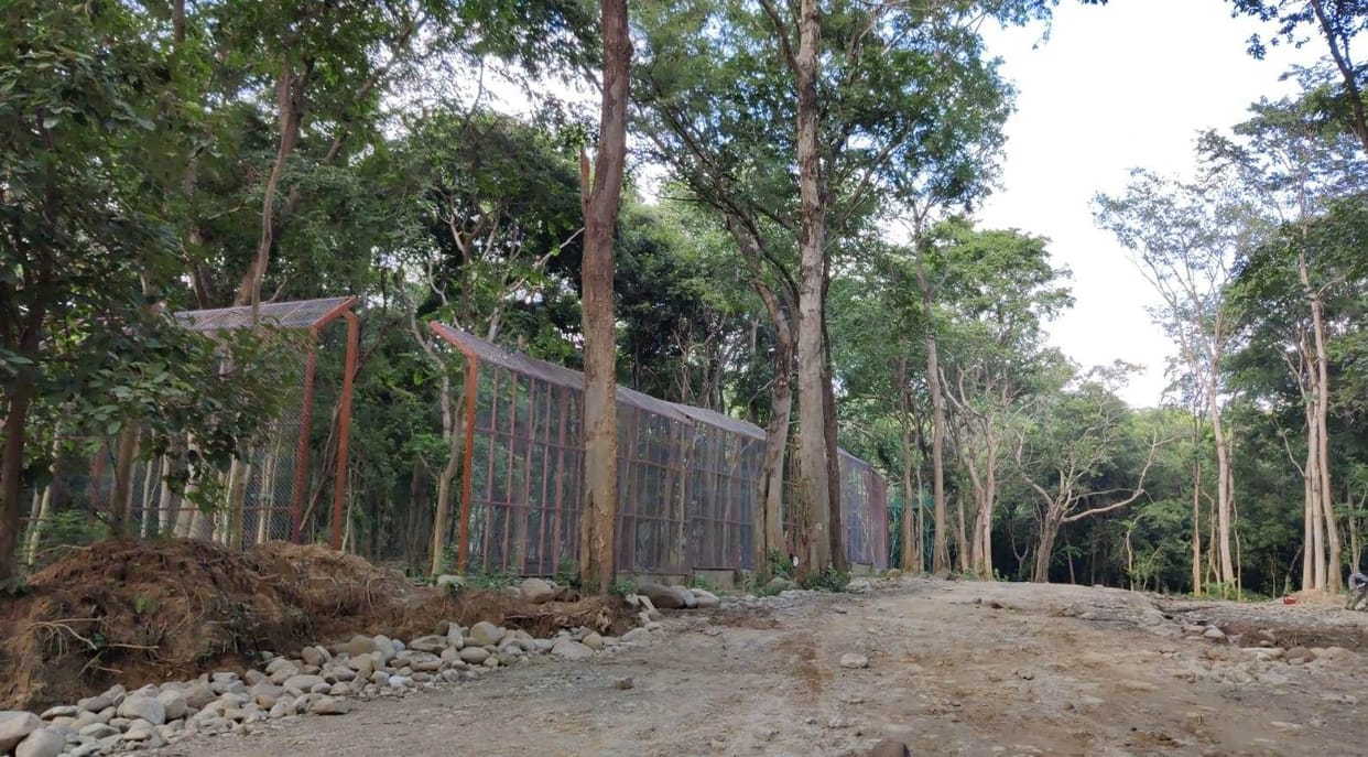 now tiger safari will be in bijnor and kalagarh