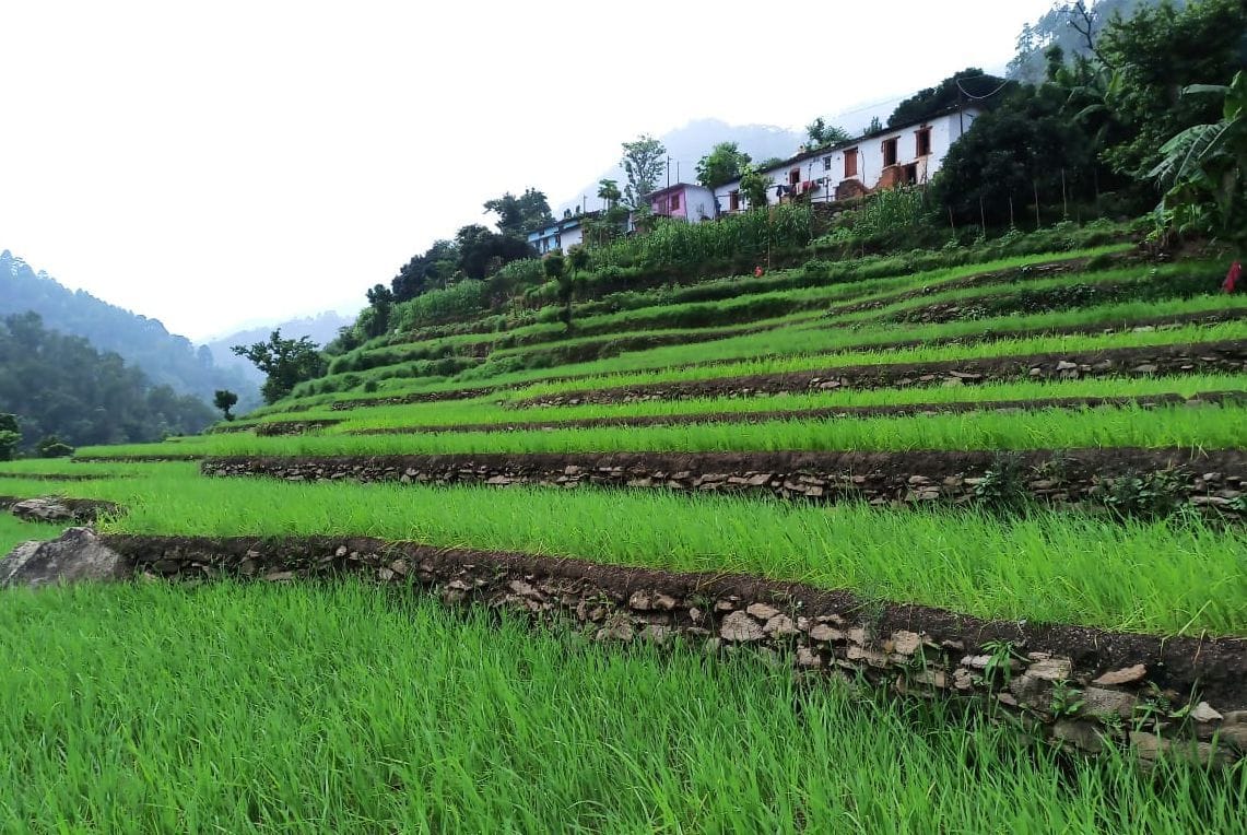 development is not happening due to lack of facilities