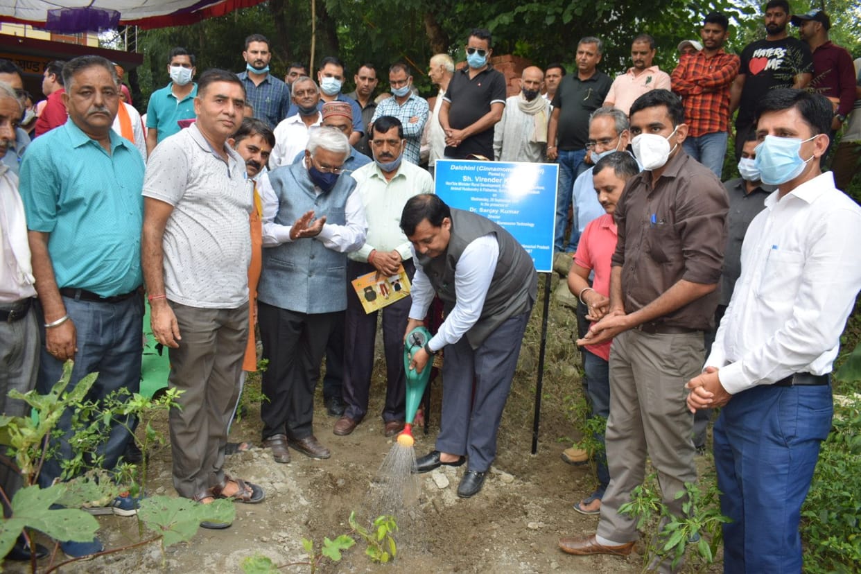 Department will plant one lakh cinnamon plants: Kanwar