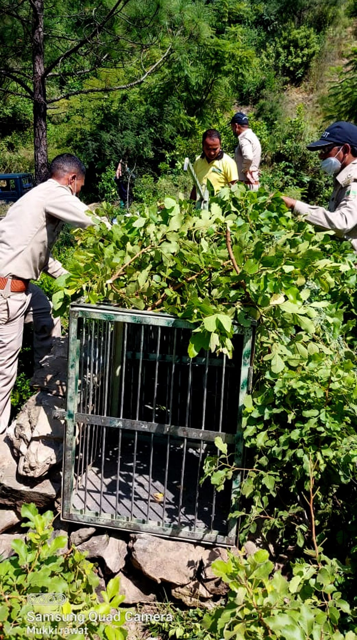After the protest of women, the forest department put up a cage