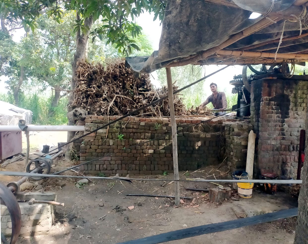 Crusher started in the district, sugarcane taking Rs 270 quintal
