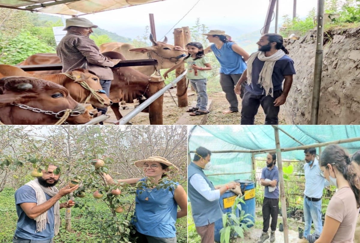 Farmers from all over the country and abroad learning the tricks of natural farming in Himachal, Carol of France also reached