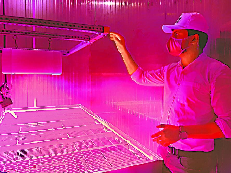 Speed Breeding Lab in varanasi Improved paddy seeds will ready in spectrum light PM Modi inaugurate during kashi visit