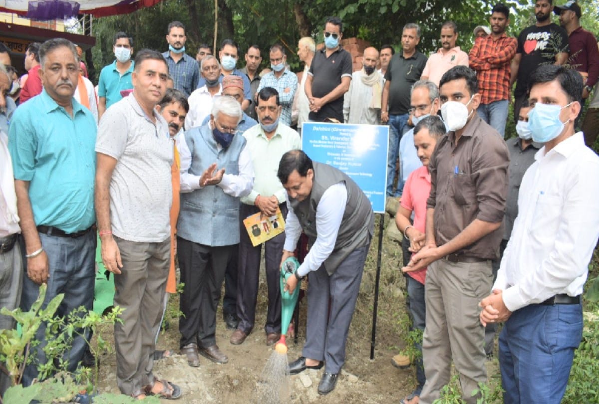 Minister Virendra Kanwar said that Department will plant one lakh cinnamon plants