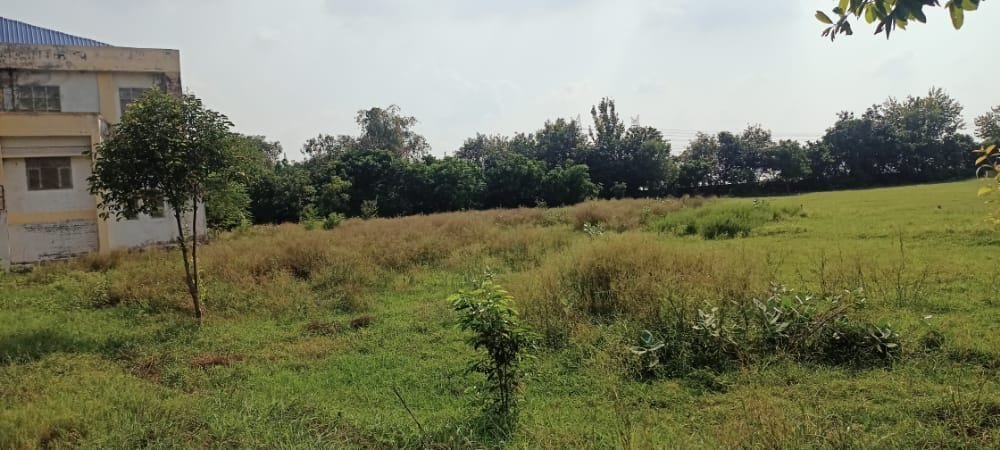 Guru Gobind Singh Stadium fell victim to misery