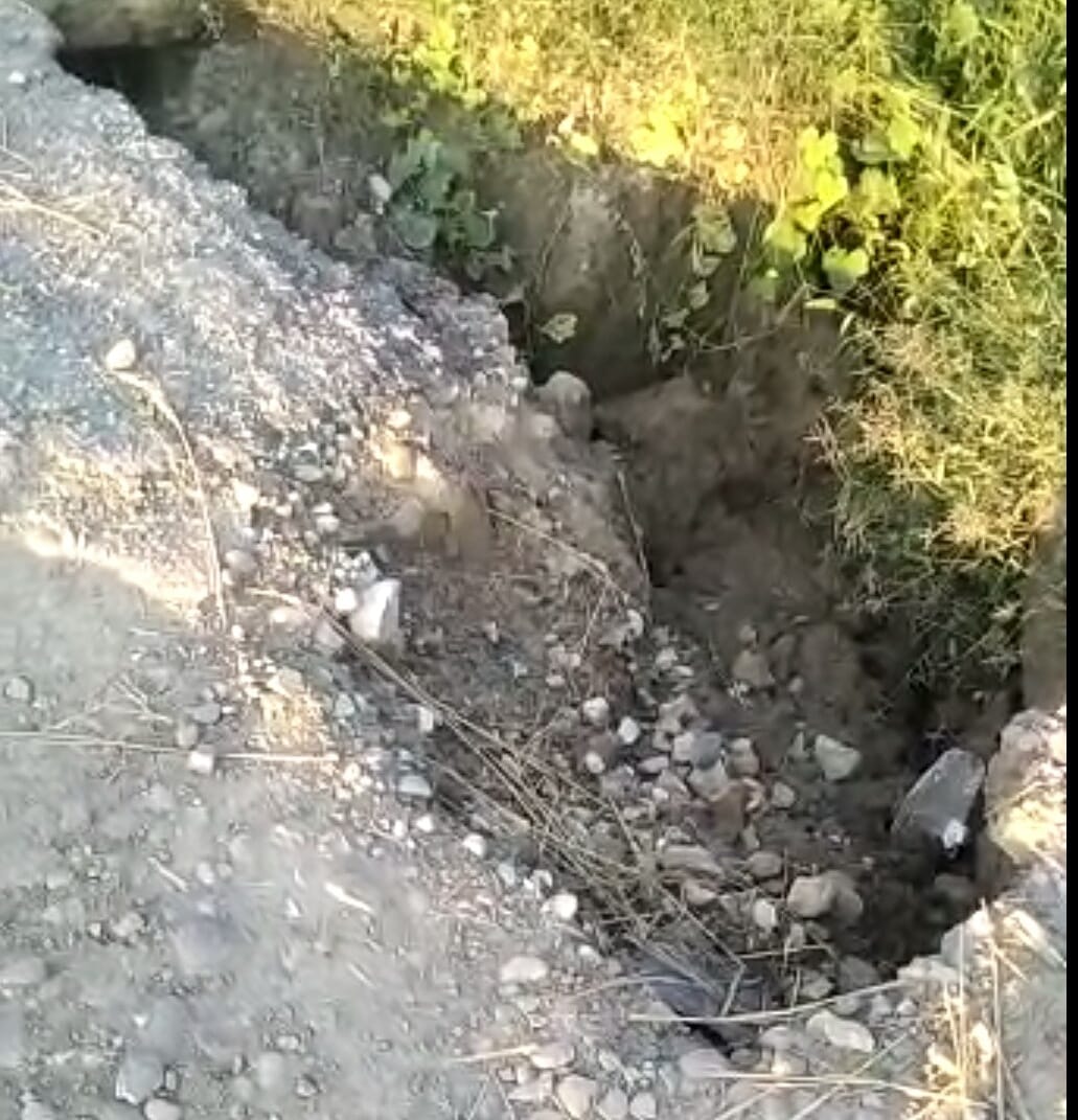 pit killed middle-aged