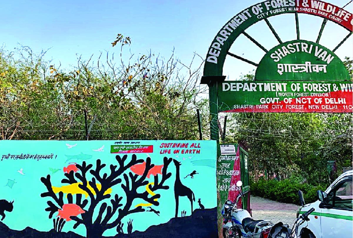 East and North-East Delhi to get two urban forests by the end of this year