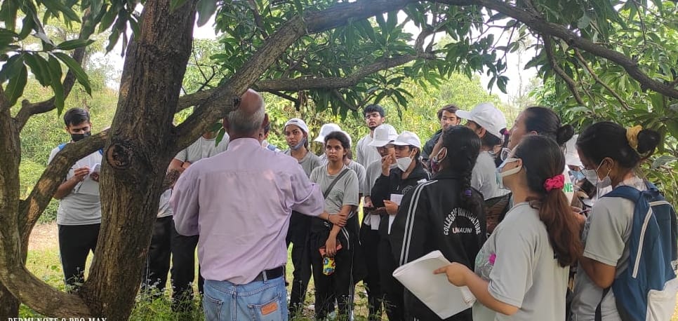 Classes in the fields of Nauni University students