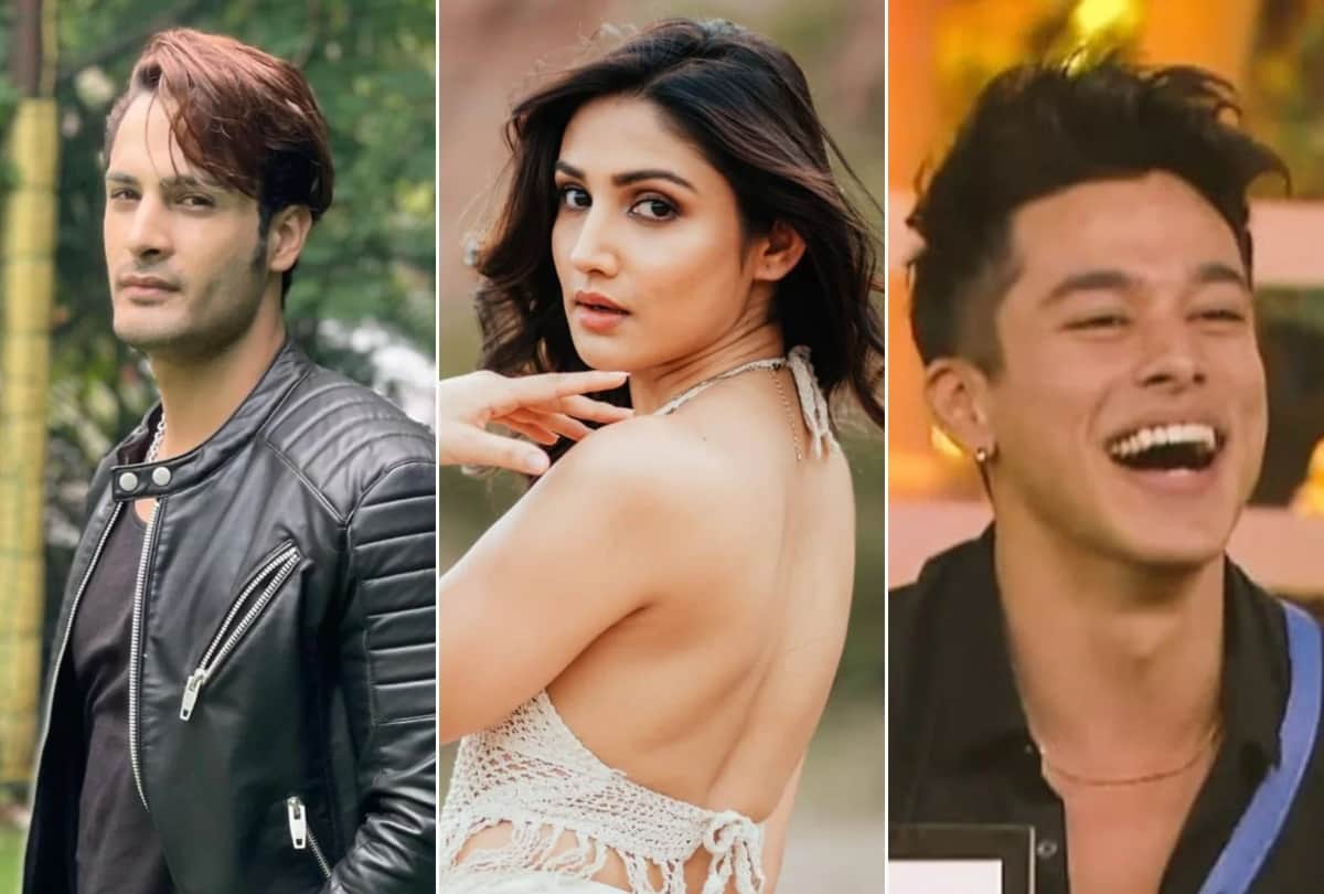 Umar Riaz entry video in Bigg Boss 15 surfaced on social media