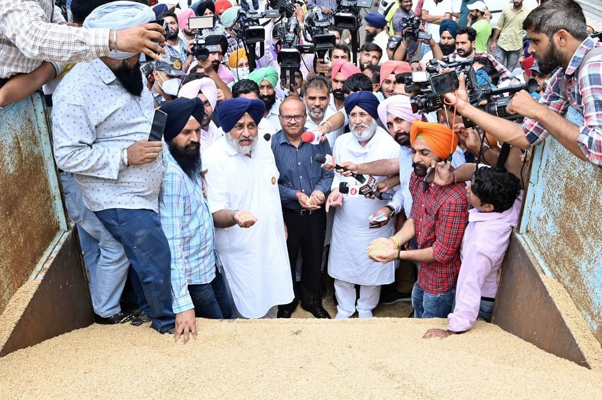 SAD raids FCI office, Sukhbir arrives with paddy trolley