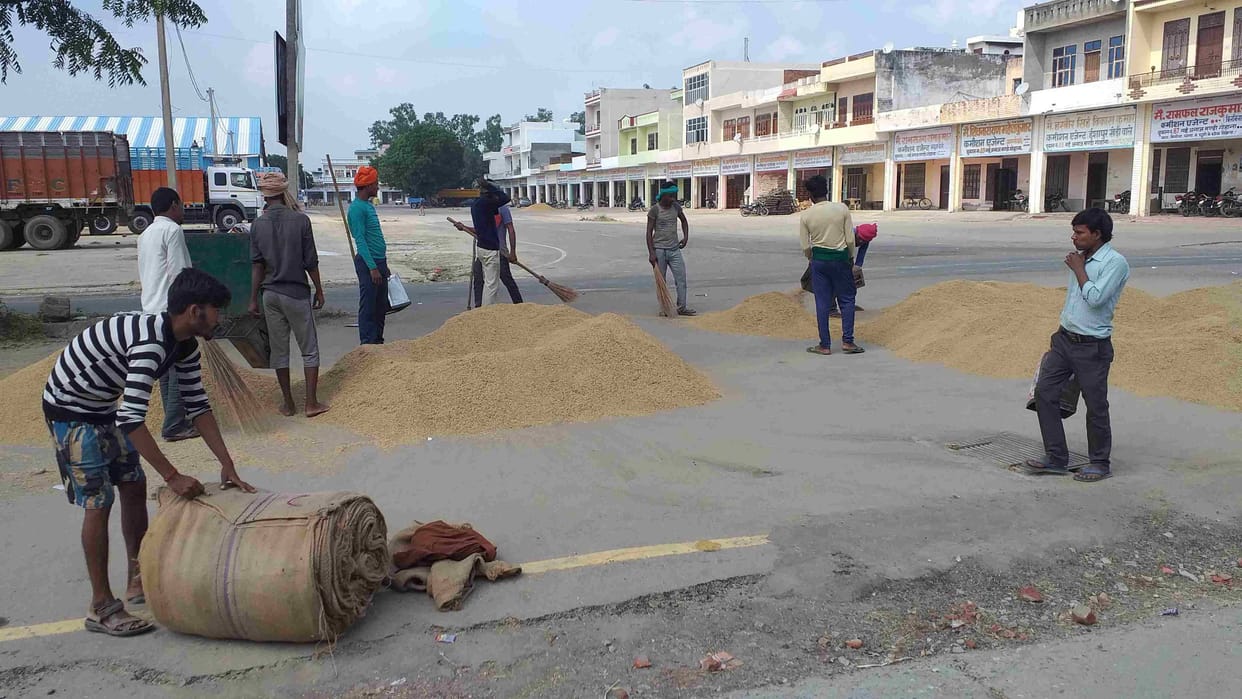 Purchase of PR paddy from today, gate pass will be cut at two places in grain market