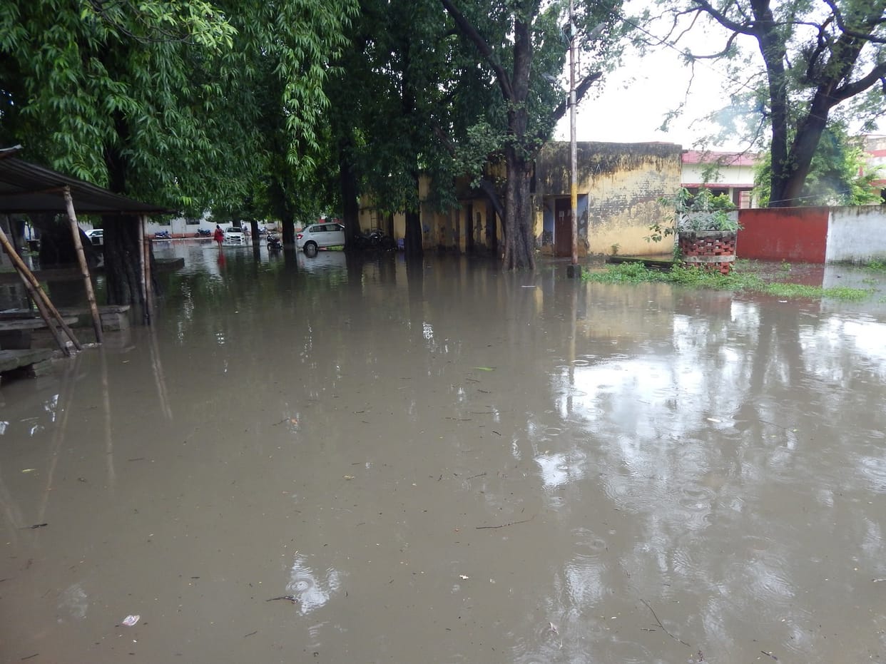 Farmers worried due to rain: Crops submerged due to continuous rain in Ballia, now harvesting of paddy and sowing of Rabi will be affected