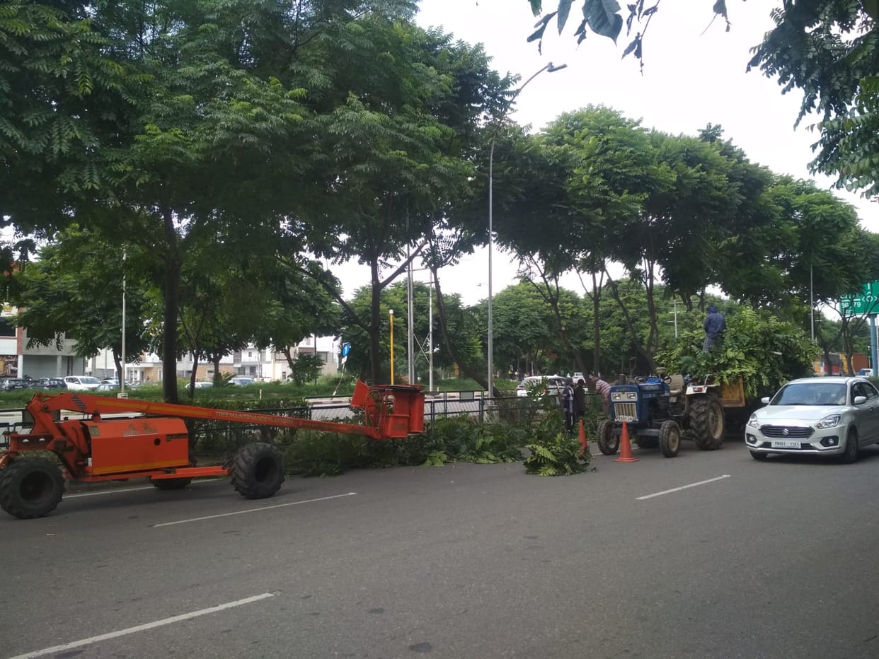 Now street lights will reach the streets of Mohali, road accidents will stop