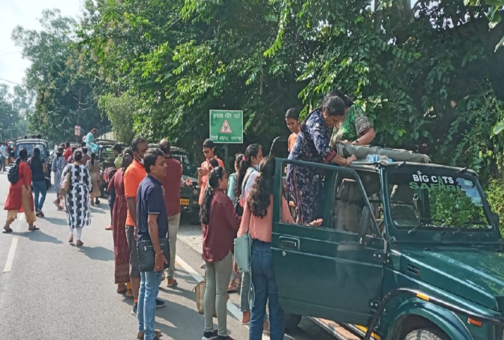 Uttarakhand News: forest department Will go to NTCA for Open Rajaji Tiger Reserve