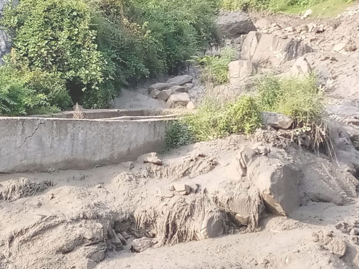 3000 fish caught in the flood caused by cloudburst