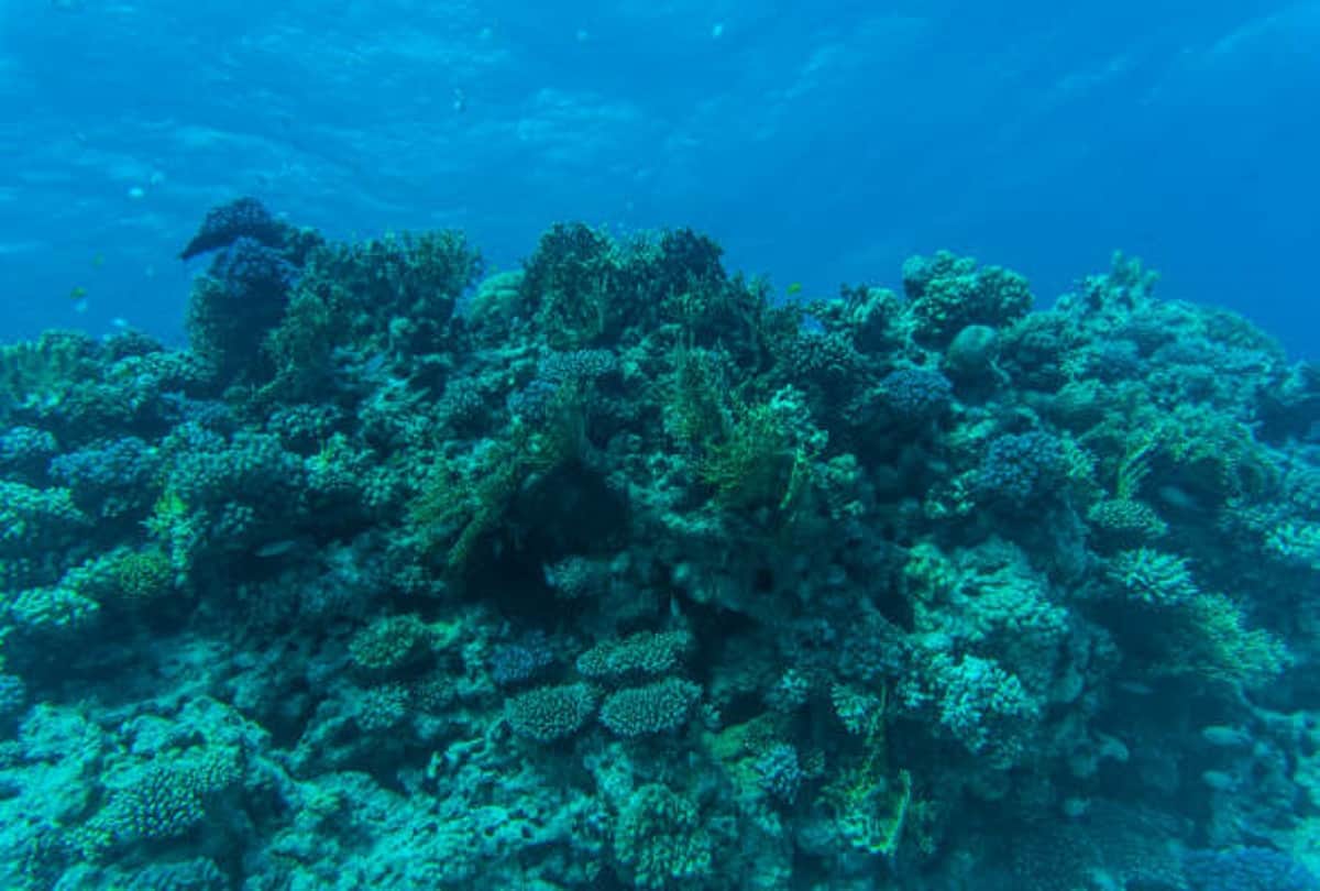 mysterious places in the world where tourists entry is banned know the secret behind it