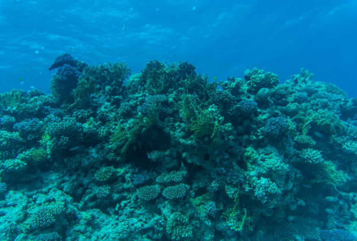 mysterious places in the world where tourists entry is banned know the secret behind it