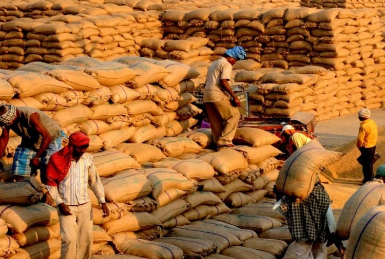 Paddy procurement will start in Punjab and Haryana from October 11