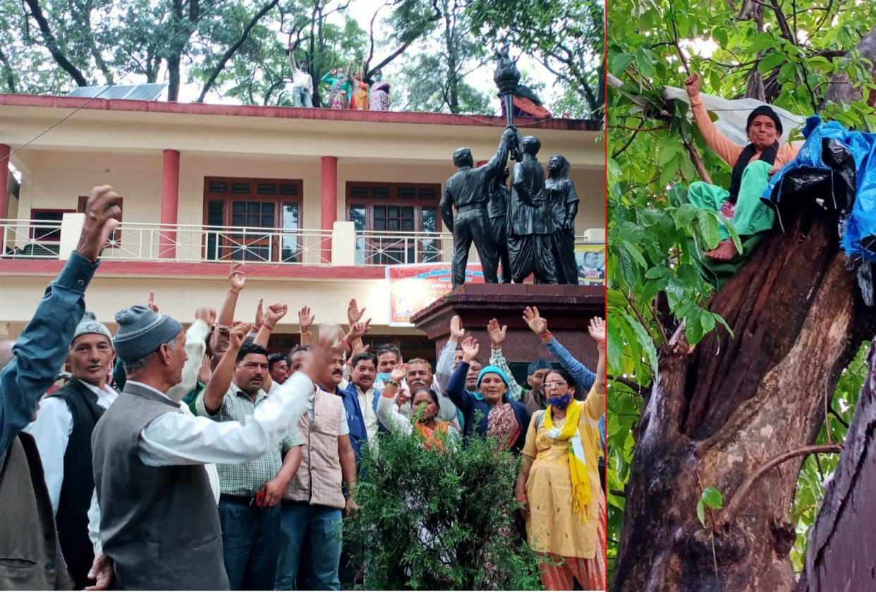 uttarakhand news: uttarakhand state agitators became vocal about their demands, protest by climbing a tree see photos