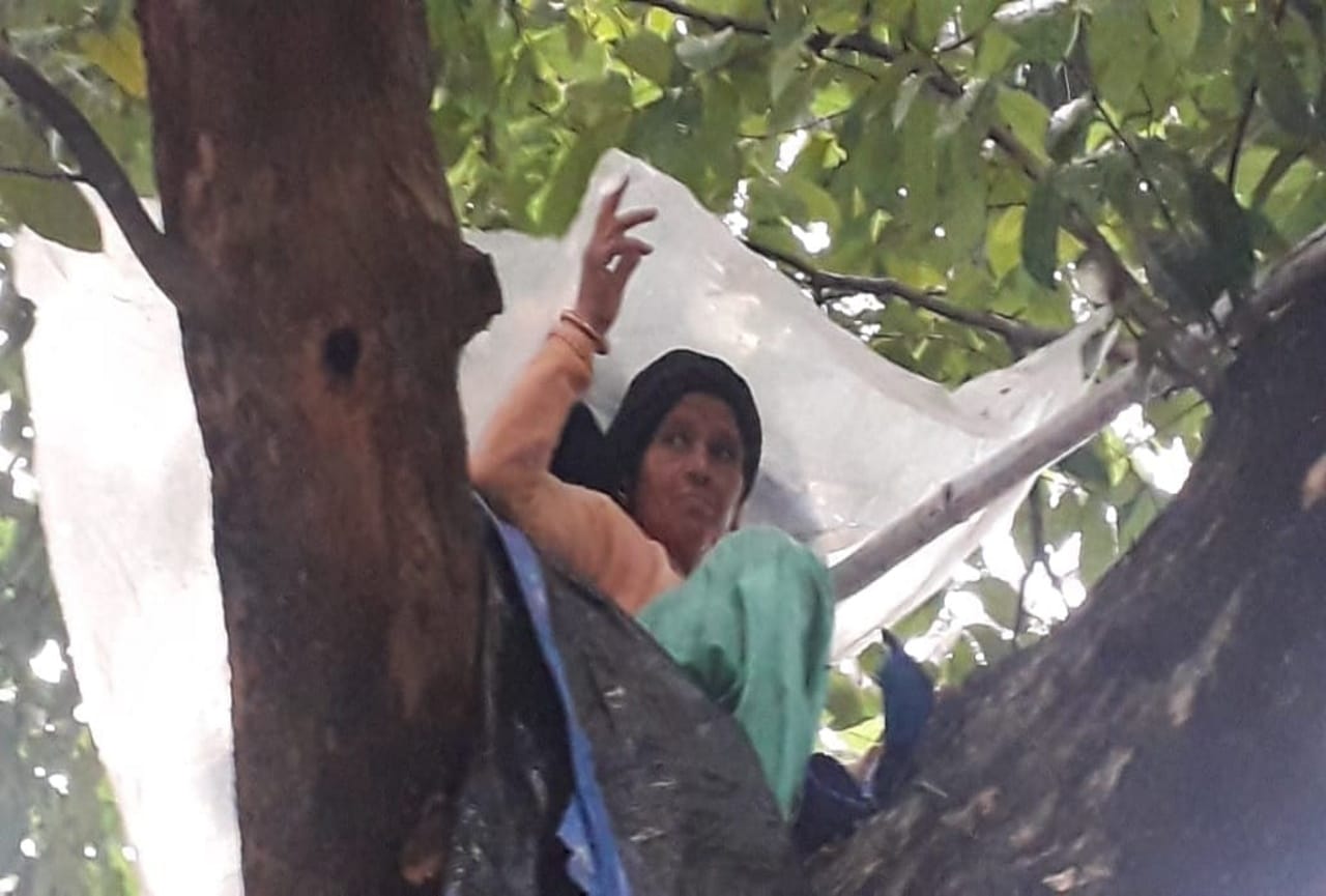uttarakhand news: uttarakhand state agitators became vocal about their demands, protest by climbing a tree see photos