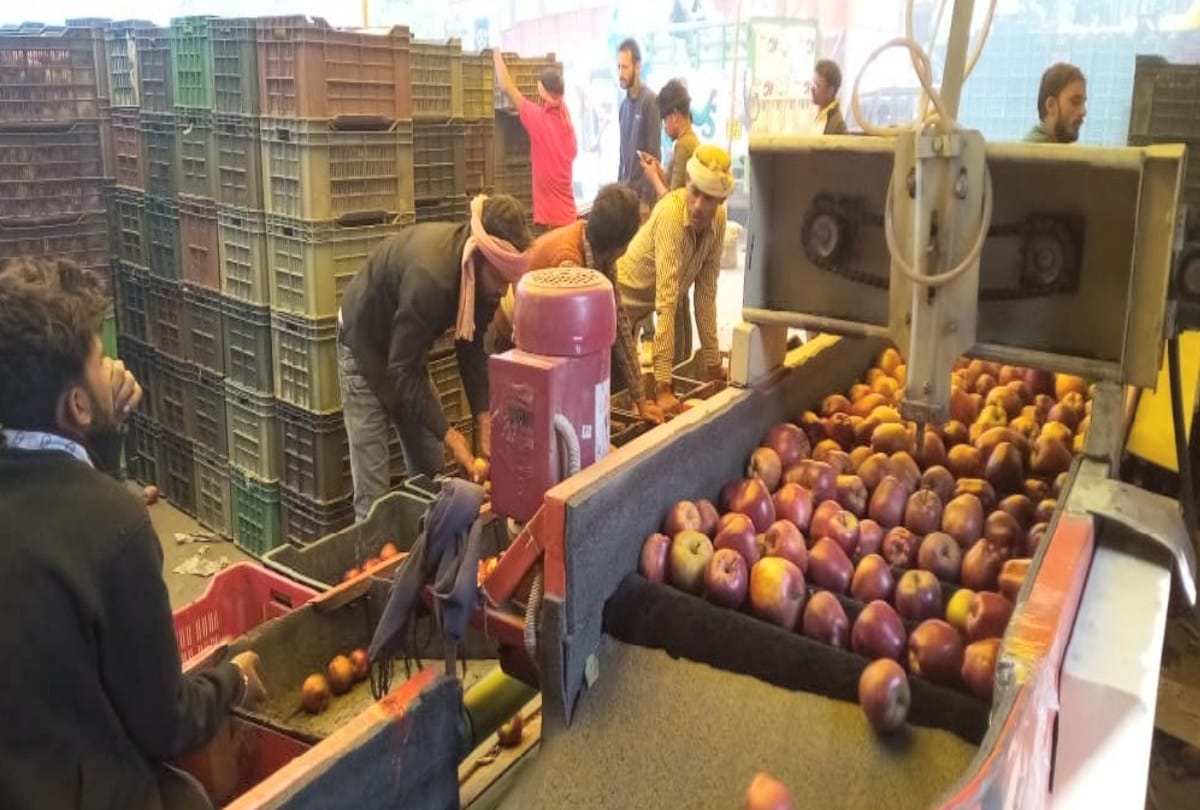 Horticulture: Arhtiyas started buying apples according to kg in crates