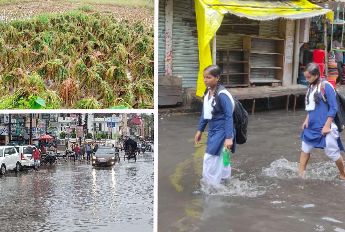 heavy Rainfall in UP Gorakhpur weather rain since 24 hours increased concern of farmers