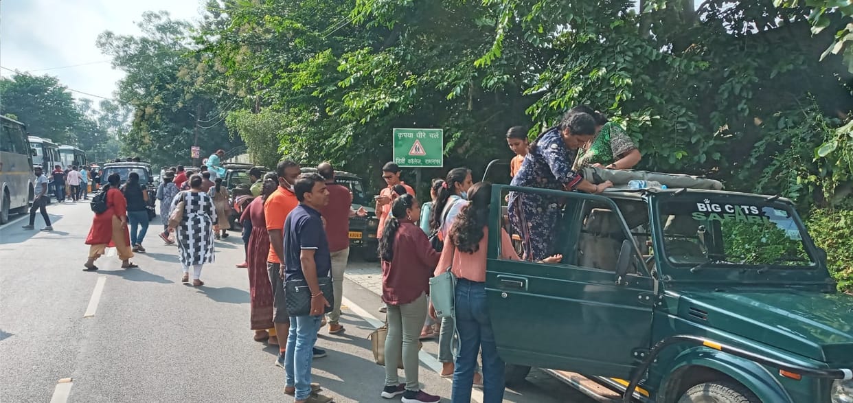 Tourists gathered in Corbett Park over the weekend