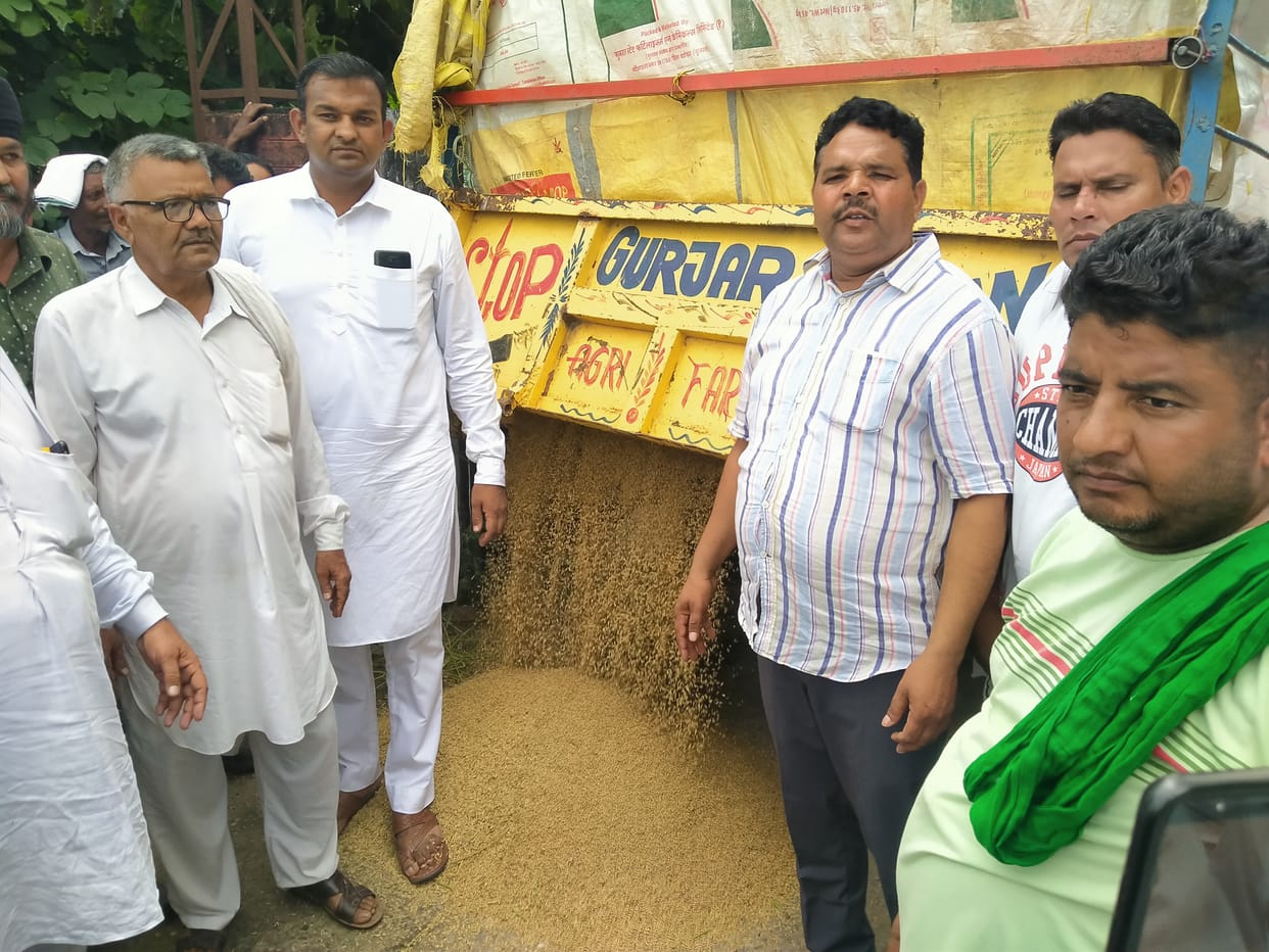 Farmers put paddy outside Tehsil office, Yamunanagar