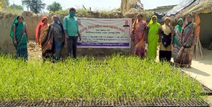Four thousand women of the group prepared 40 lakh sugarcane plants