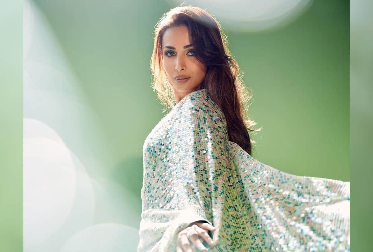 Malaika arora traditional look in Green Sequin Saree Photos