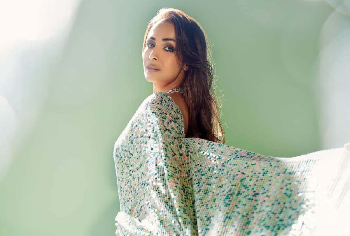 Malaika arora traditional look in Green Sequin Saree Photos