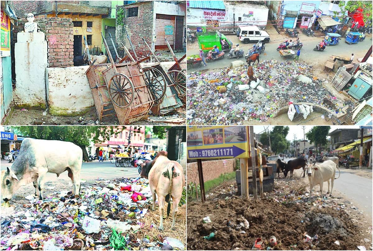 Pile of garbage on the streets before Gandhi Jayanti in Agra