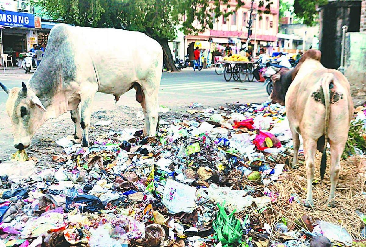 Pile of garbage on the streets before Gandhi Jayanti in Agra