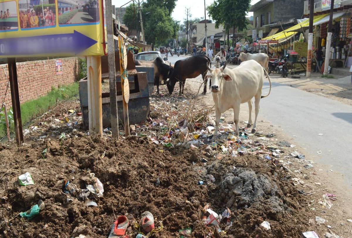 Pile of garbage on the streets before Gandhi Jayanti in Agra