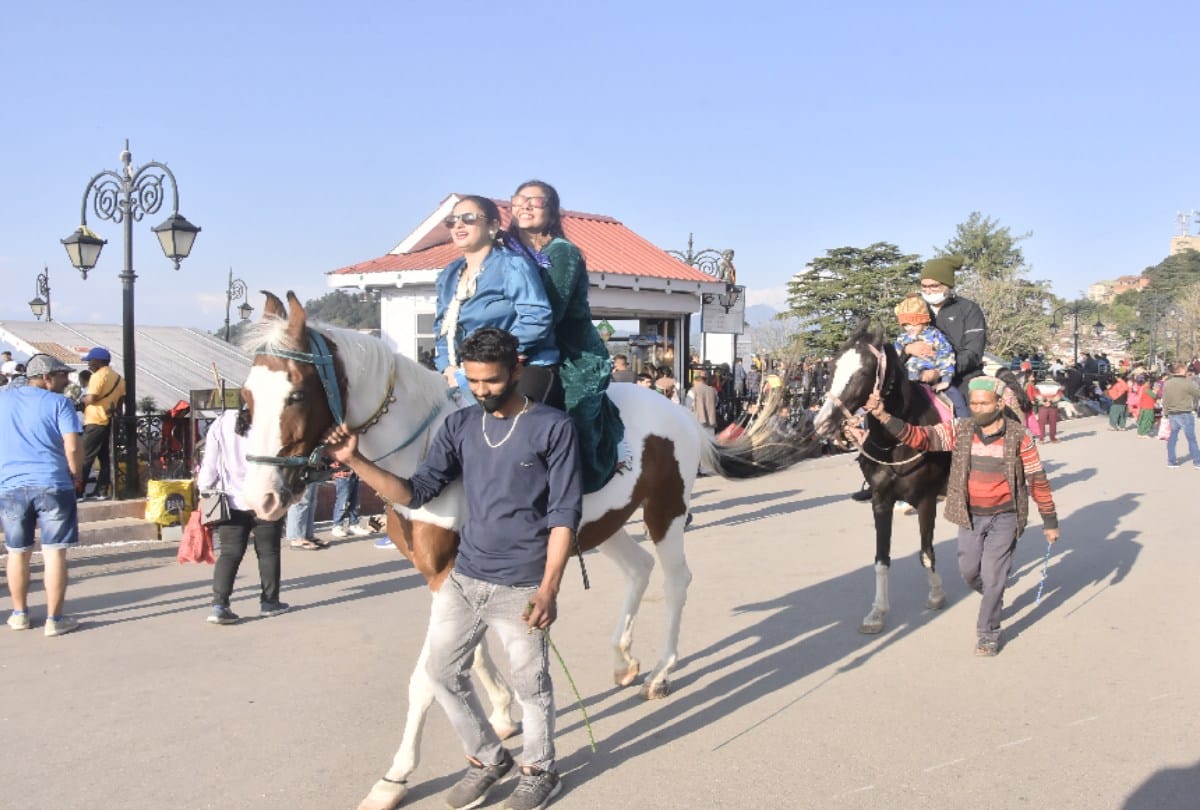 MC Shimla Two fold hike in annual charge for Horse Owners and Photographers on ridge maidan shimla