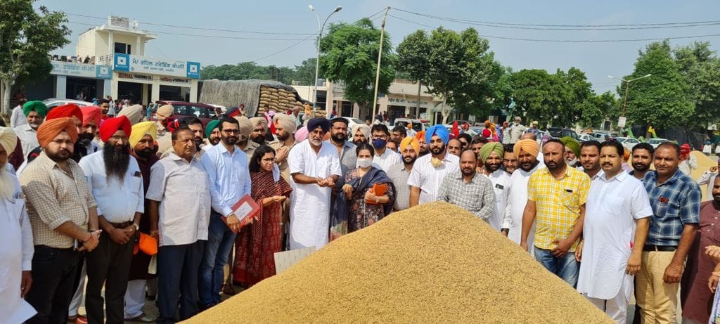 Farmers will not let problems come in the purchase of paddy: Nabha